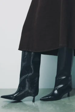 BOTA KITTEN