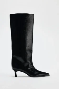BOTA KITTEN