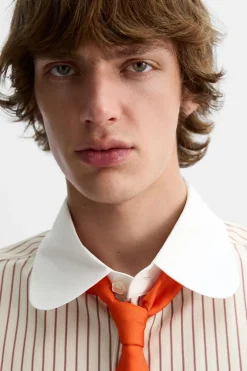 CAMISA RAYAS X HARRY LAMBERT