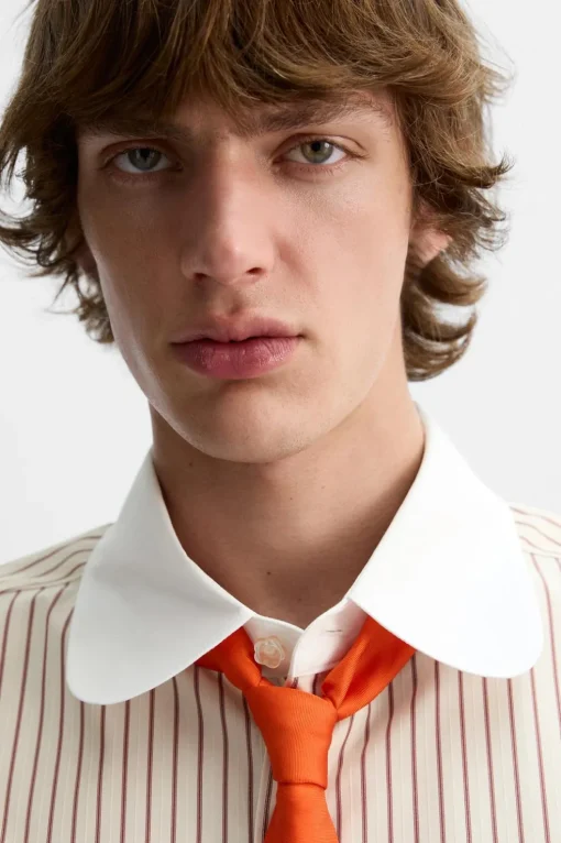 CAMISA RAYAS X HARRY LAMBERT
