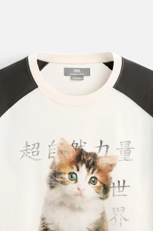 CAMISETA COLOR BLOCK GATO