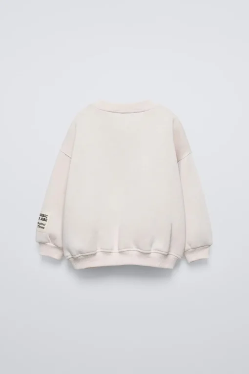 SUDADERA DINOSAURIO